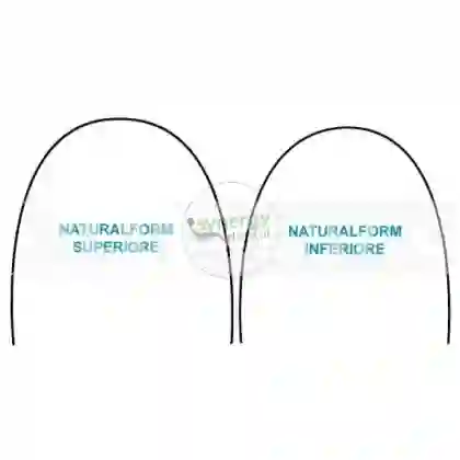 Archi Eclipse Ni-Ti Termici